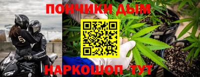 индика Кандалакша