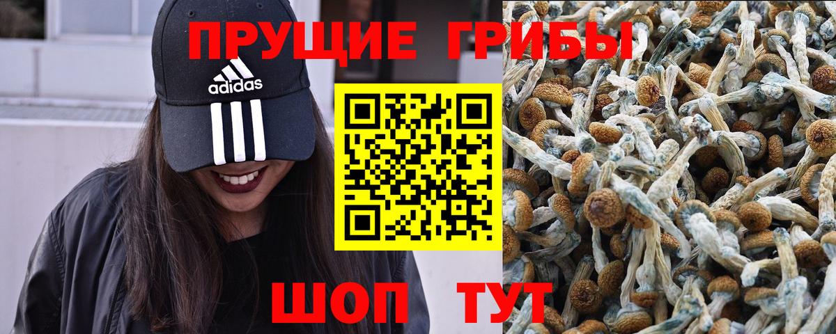 Магадан  Псилоцибиновые грибы мицелий  Вход с VPN 